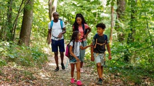 A family of four hikes along a leaf-covered trail in a lush green forest, enjoying their walk together.