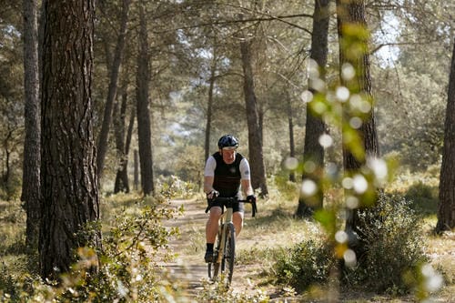 A cyclist wearing a helmet and a vest rides along a dirt path surrounded by tall pine trees in a sunlit forest.