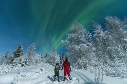 An adult and child hold hands while standing on a snow-covered path, gazing up at the green aurora borealis in a bright, wintry forest.