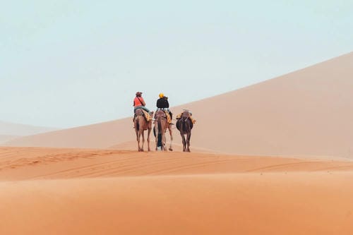 Two people ride camels across vast, hazy orange sand dunes.